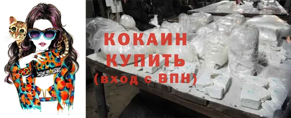 твердый Касимов