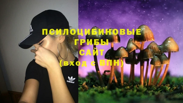 таблы Карпинск